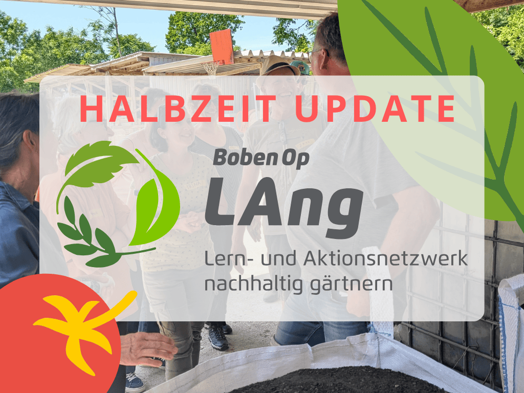 Lern- und Aktionsnetzwerk WEB Bild Halbzeit Update