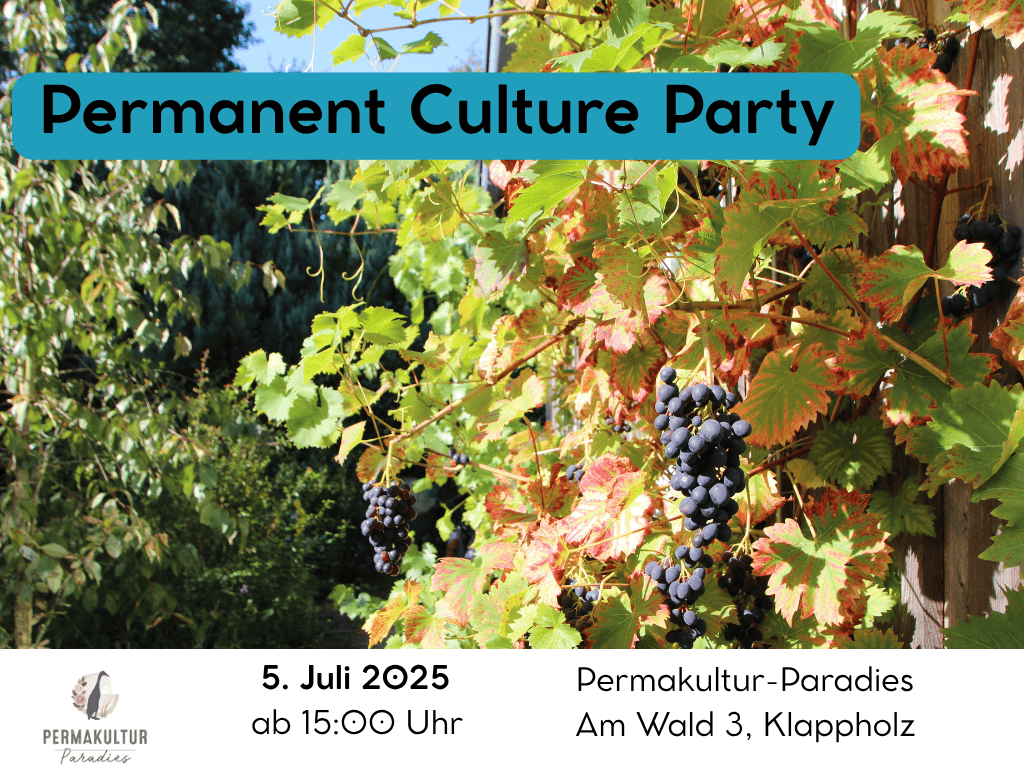 Einladungsbild Permanent Culture Party